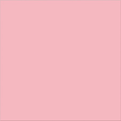 FL matte Fuchsia